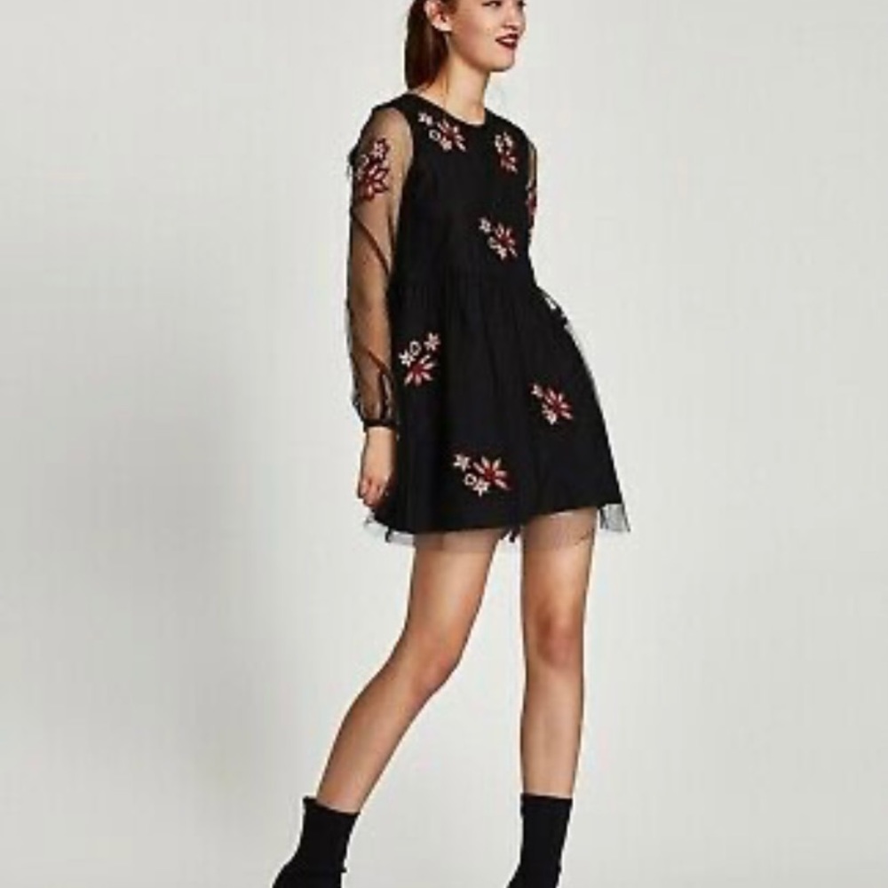 Zara dotted mesh midi dress with embroidery